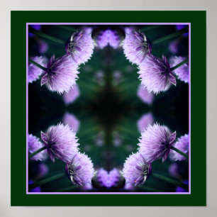 Blühende Lila Schalotte Allium Natur Kunst Poster