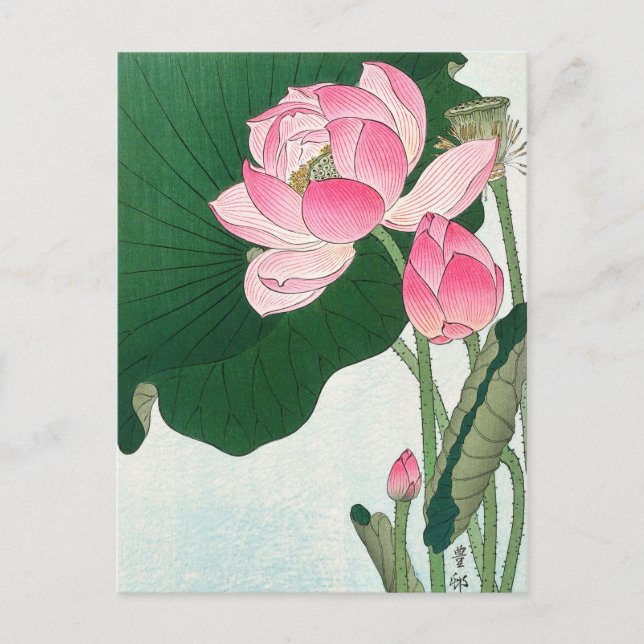 Blühende Lotus-Blume - Ohara Koson - JahrgangKunst Postkarte (Vorderseite)