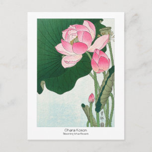 Blühende Lotus-Blume - Ohara Koson - JahrgangKunst Postkarte