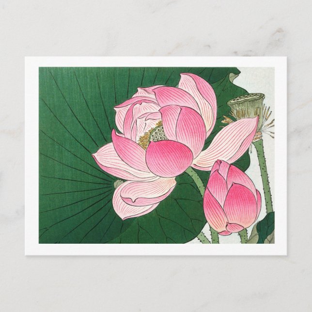 Blühende Lotus-Blume - Ohara Koson - vergrößert Postkarte (Vorderseite)