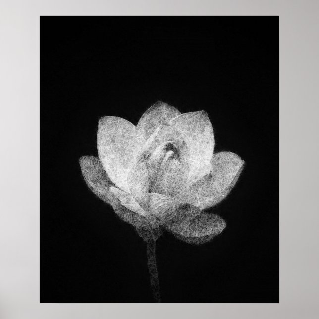 blühende Lotus-Blume Poster (Vorne)