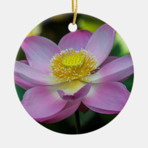 Blühende Lotusblume, Indonesien Keramik Ornament