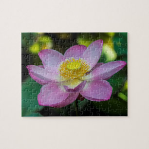 Blühende Lotusblume, Indonesien Puzzle