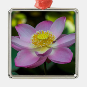 Blühende Lotusblume, Indonesien Silbernes Ornament