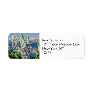 Blühende Lupine-Neuseeland-Landschaft