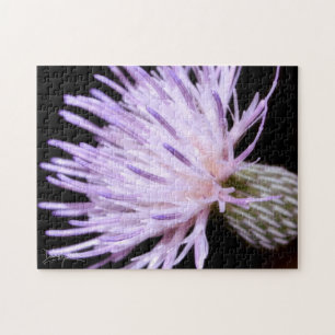 Blühende Nuttall-Distel Puzzle