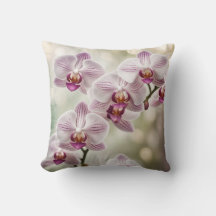 Blühende Orchideen Soft Bokeh-Effekt