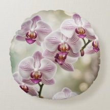 Blühende Orchideen Soft Bokeh-Effekt