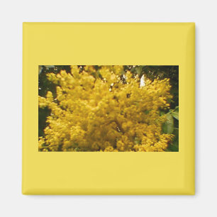 Blühende Pollen Magnet