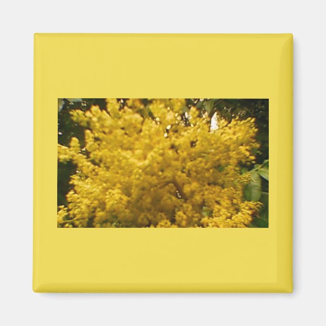 Blühende Pollen Magnet (Vorne)