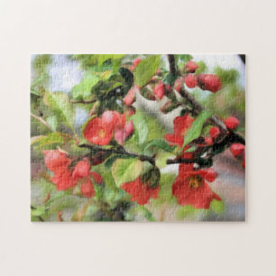 Blühende Quitte Rote Blüten Natur Puzzle