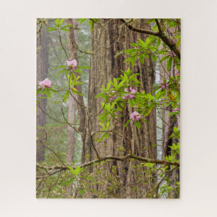 Blühende Rhododendren Redwoods State Park, CA Puzzle