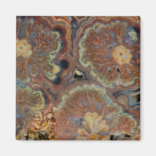 Blühende Röhrenonyx Magnet