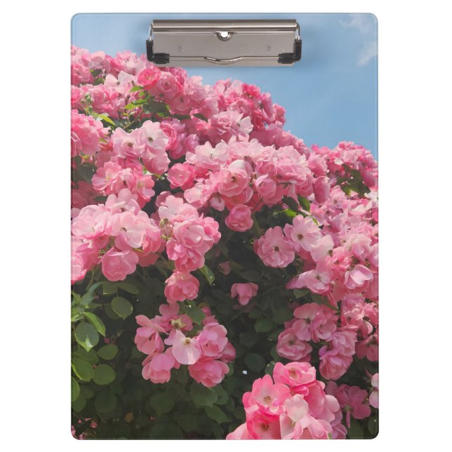Blühende rosa Kaskade Klemmbrett (Vorderseite)