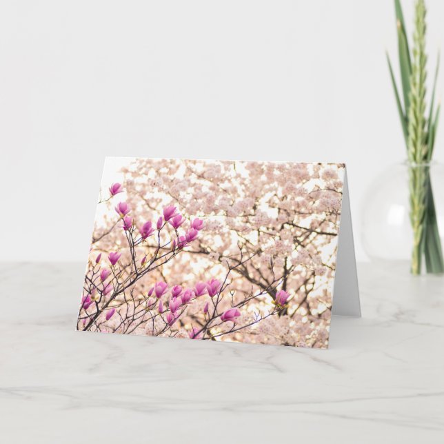 Blühende rosa Lila Magnolias-Frühlingsszene Blume Karte (Vorderseite)
