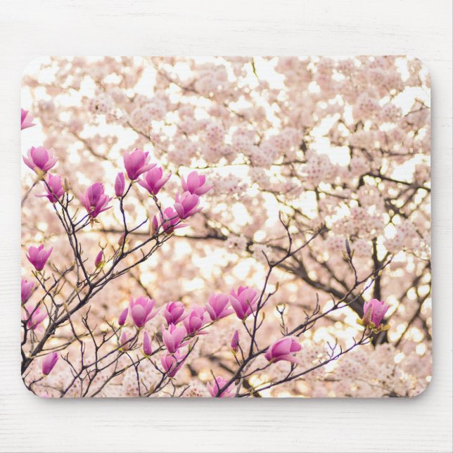 Blühende rosa Lila Magnolias-Frühlingsszene Blume Mousepad (Vorne)