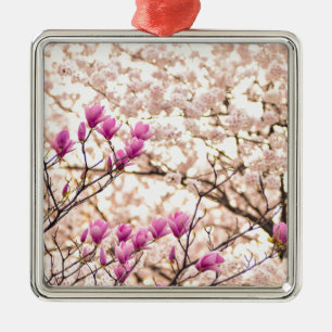 Blühende rosa Lila Magnolias-Frühlingsszene Blume Ornament Aus Metall