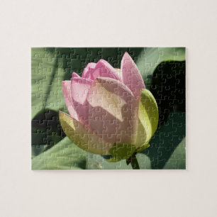 Blühende Rosa Lotus Blume Sommer Puzzle