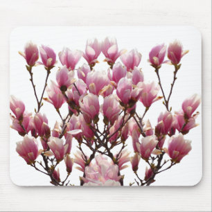 Blühende rosa Magnolias-Frühlingsstimmung in der B Mousepad