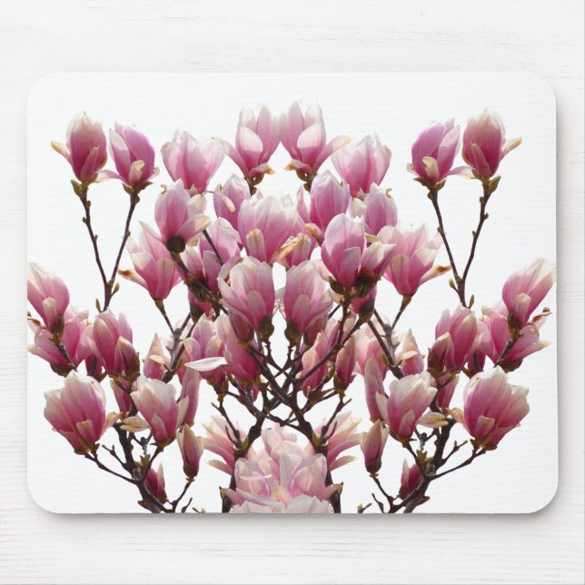 Blühende rosa Magnolias-Frühlingsstimmung in der B Mousepad (Vorne)