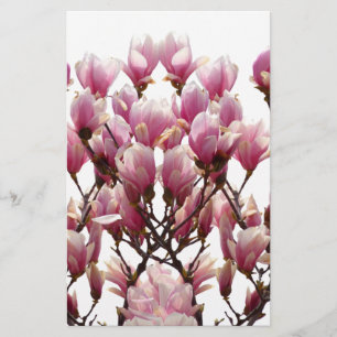 Blühende rosa Magnolien Frühlingsblume Briefpapier