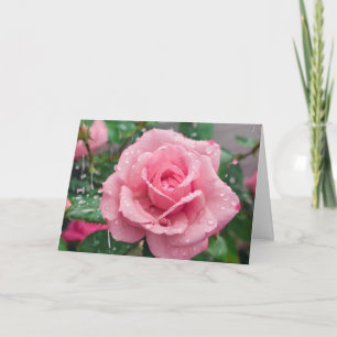 Blühende rosa Rose mit Regentropfen Karte