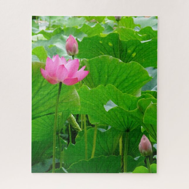 Blühende rosa Wasserlilie Puzzle (Vertikal)
