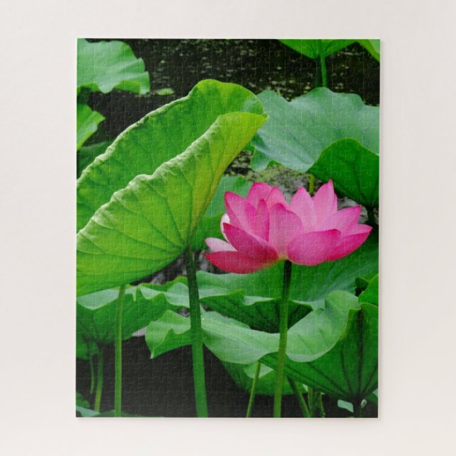 Blühende rosa Wasserlilie Puzzle (Vertikal)