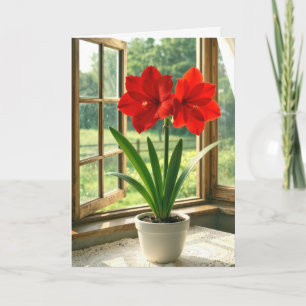Blühende rote Amaryllis zum Geburtstag Karte