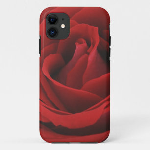 Blühende Rote Rose Case-Mate iPhone Hülle