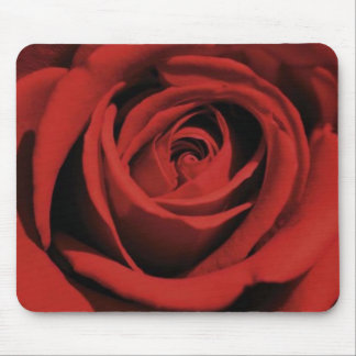 Blühende Rote Rose Mousepad
