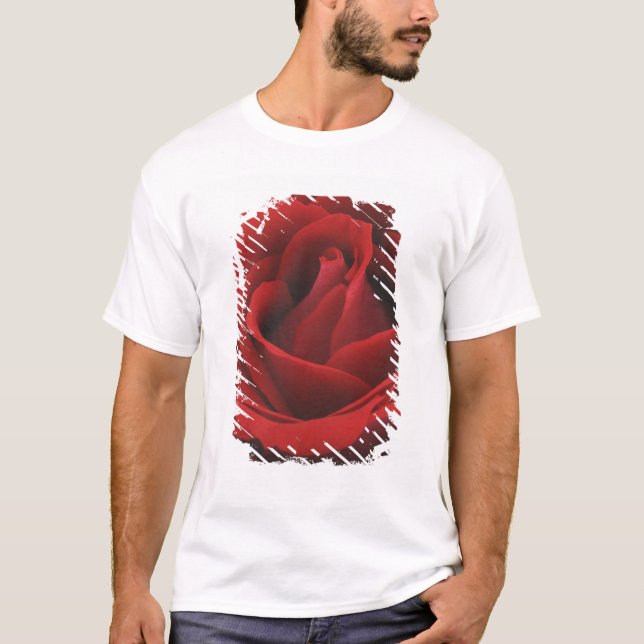 Blühende Rote Rose T-Shirt (Vorderseite)