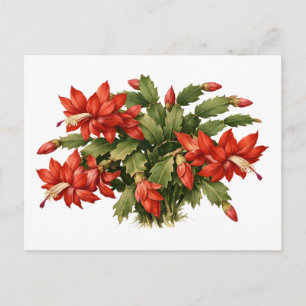 Blühende rote Weihnachtskaktus-Pflanze Postkarte