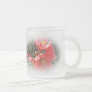 Blühende Ruhe - Chaenomeles speciosa Mattglastasse