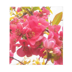 Blühende Ruhe in Japan Rosa Frühlingsblumen Shrub Notizblock