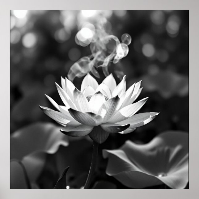 Blühende Ruhe: Lotus Kohle Kunst Poster (Vorne)