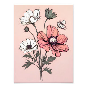 Blühende Schönheiten: Rosa und weiße Blume auf Ros Fotodruck