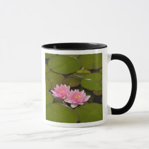 Blühende Seerosen Tasse