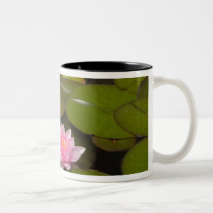Blühende Seerosen Zweifarbige Tasse