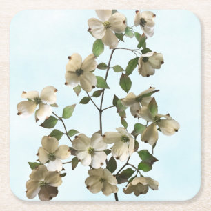 Blühende weiße Dogwood-Blume Rechteckiger Pappuntersetzer