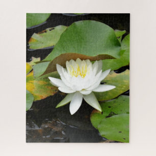 Blühende weiße Lilie in einem Lilienteich Puzzle