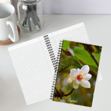 Blühende Weiße Magnolia