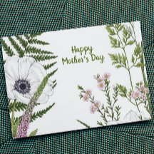 Blühende Wildblume Botanisch Muttertag