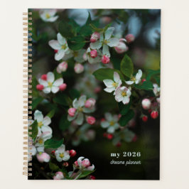 Blühender Apfelbaum Planer