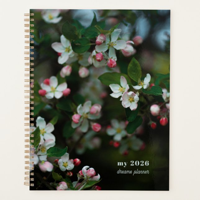 Blühender Apfelbaum Planer (Vorderseite)