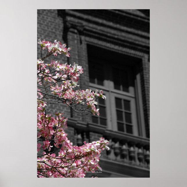 blühender Balkon Poster (Vorne)