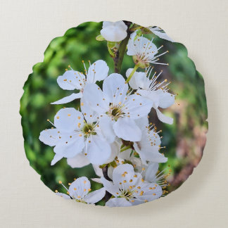 Blühender Baum im Frühling Rumänien – Blütenfotogr Rundes Kissen