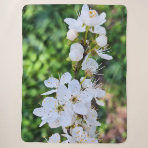 Blühender Baum im Frühling Rumänien – Blütenfotogr Sherpadecke