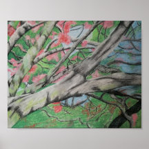 Blühender Baum