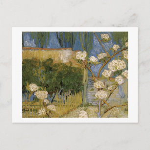 Blühender Birnbaum, Vincent van Gogh Postkarte